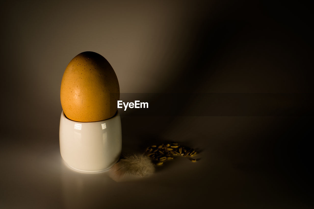 Close-up of egg by feather and seed on table