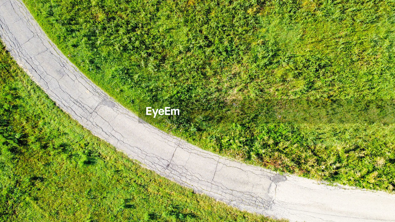 HIGH ANGLE VIEW OF ROAD AMIDST TREES