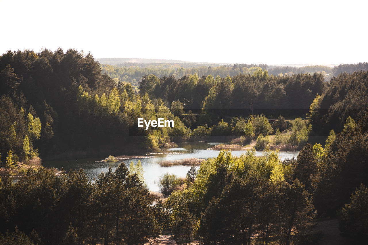 Scenic view of river in forest against clear sky