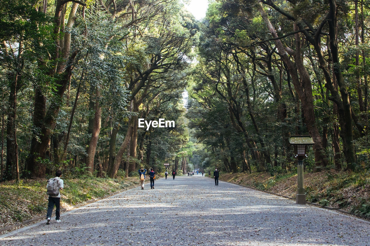 People walking on dirt road along trees