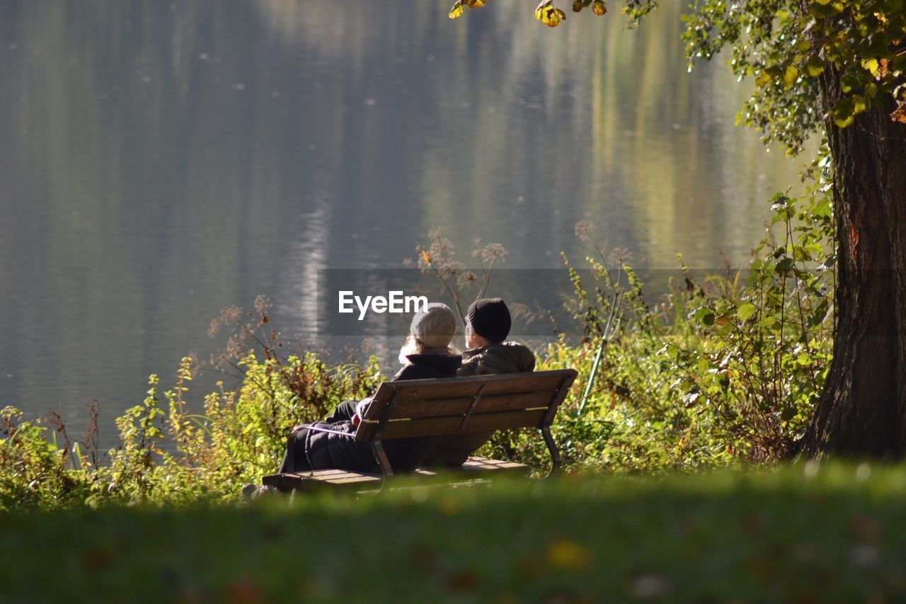 Rear view of friends sitting on bench at lakeshore