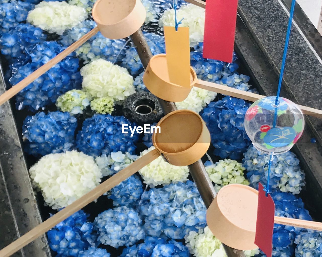 high angle view, flower, blue, food and drink, food, no people, container, kitchen utensil, variation, nature, freshness, household equipment, retail, day, ladle, market, market stall, outdoors