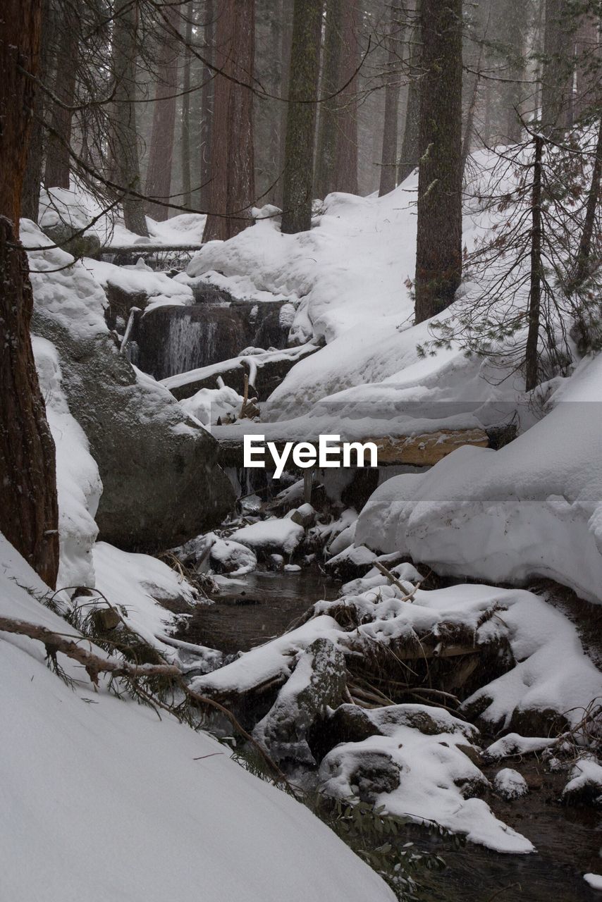 SCENIC VIEW OF SNOW COVERED LANDSCAPE