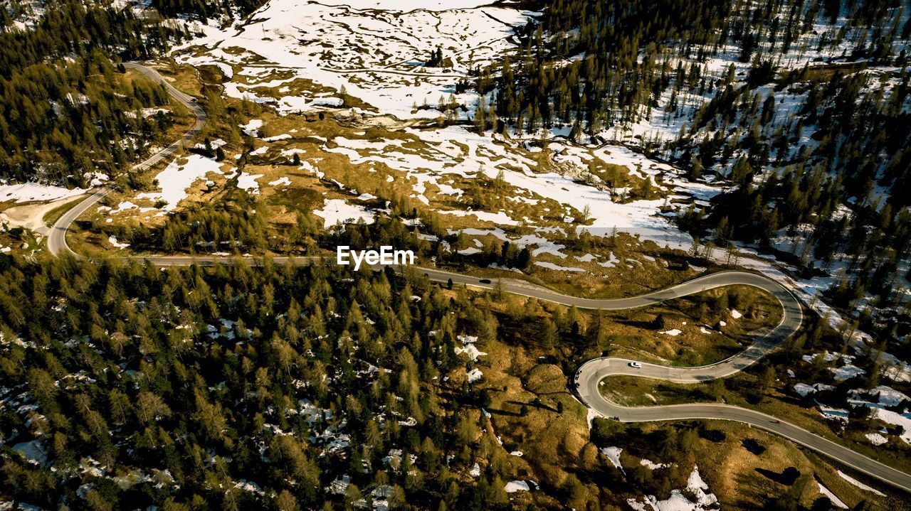 High angle view of trees on snow covered landscape