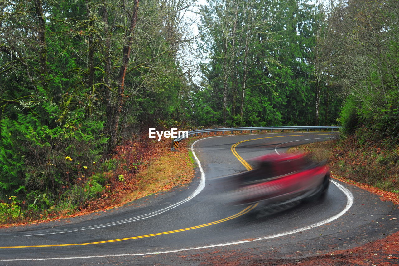 Blurred motion of trees by road