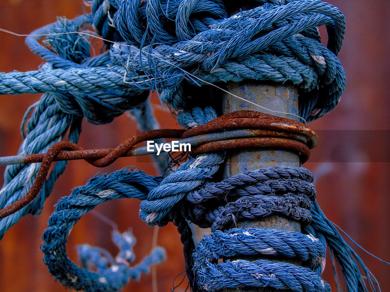 Close-up of rope tied to pole