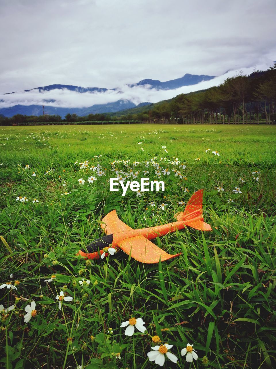 Scenic view of grassy field against sky