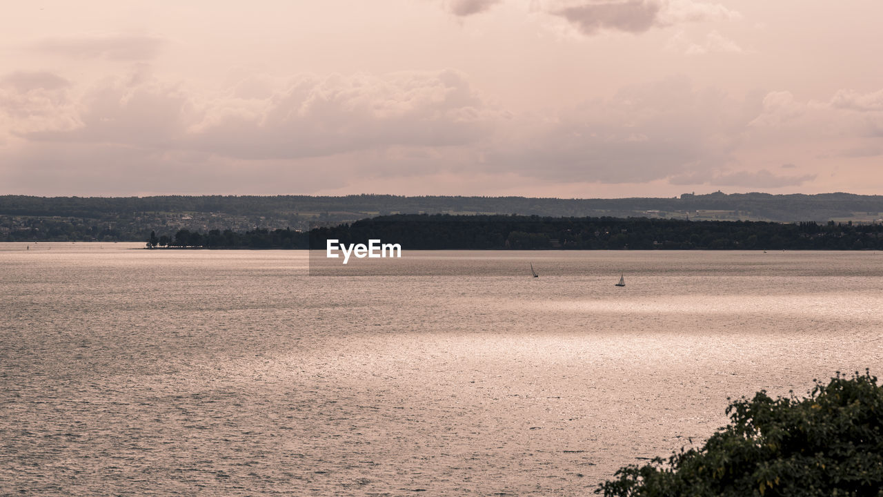 The summer light gives a coppery-golden color to lake constance aka bodensee