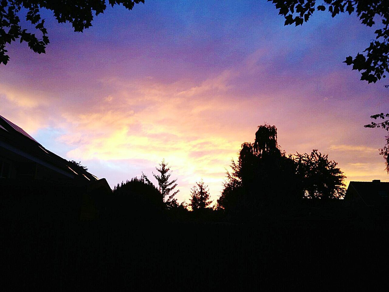SILHOUETTE OF TREES AGAINST SKY DURING SUNSET