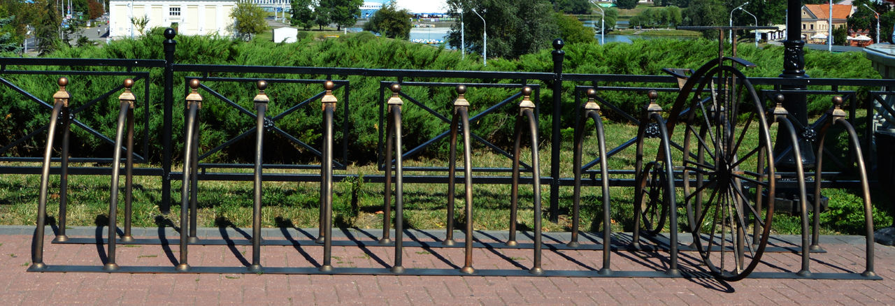 PLANTS GROWING ON FENCE