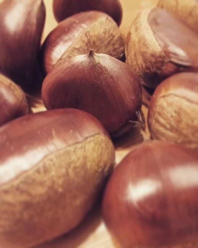 CLOSE-UP OF VEGETABLES