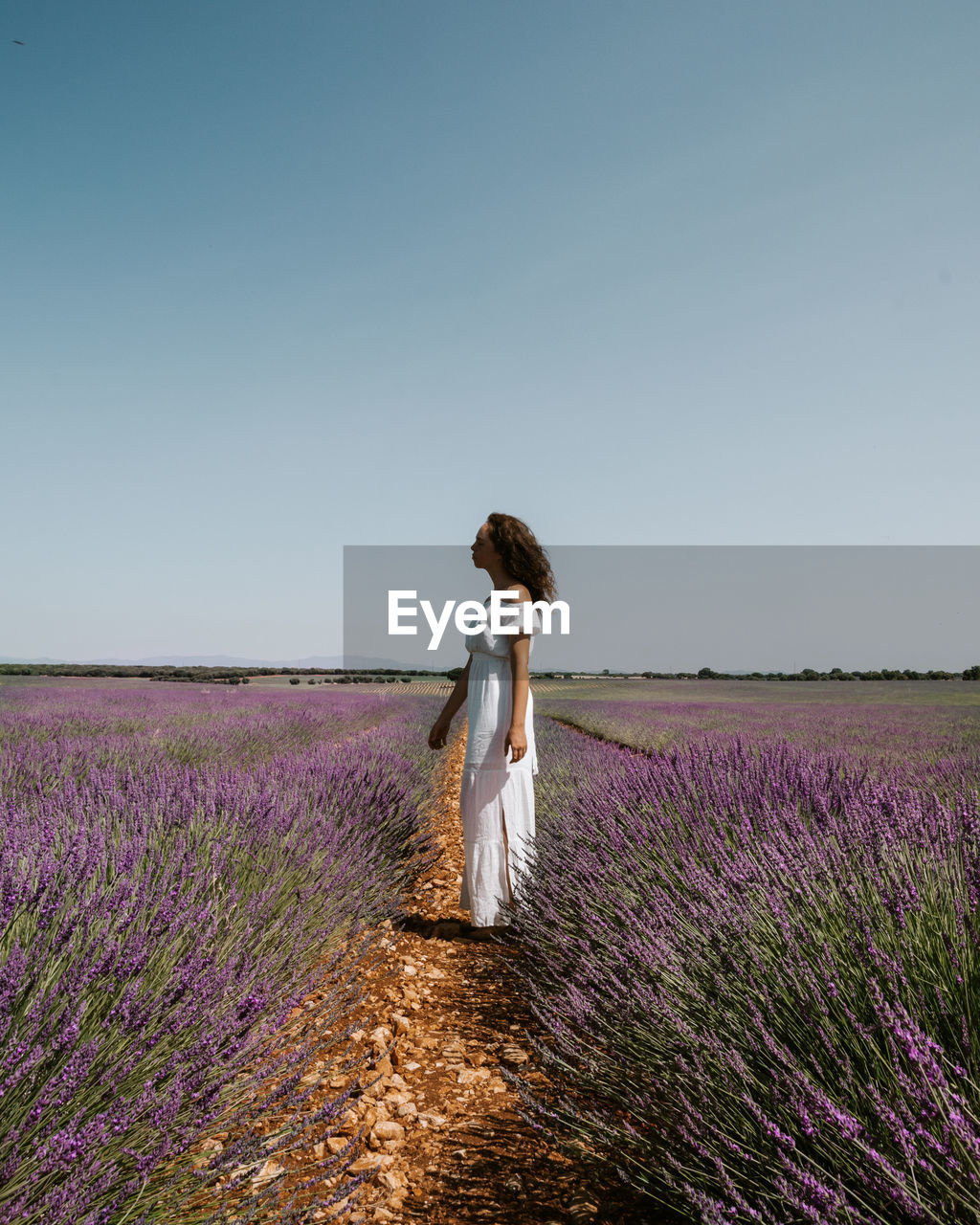 Woman standing in a lavender field against clear sky