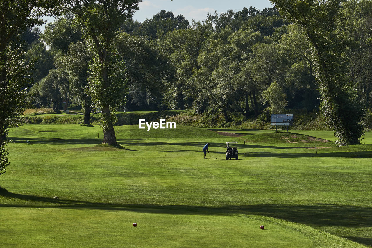 Man playing golf on course