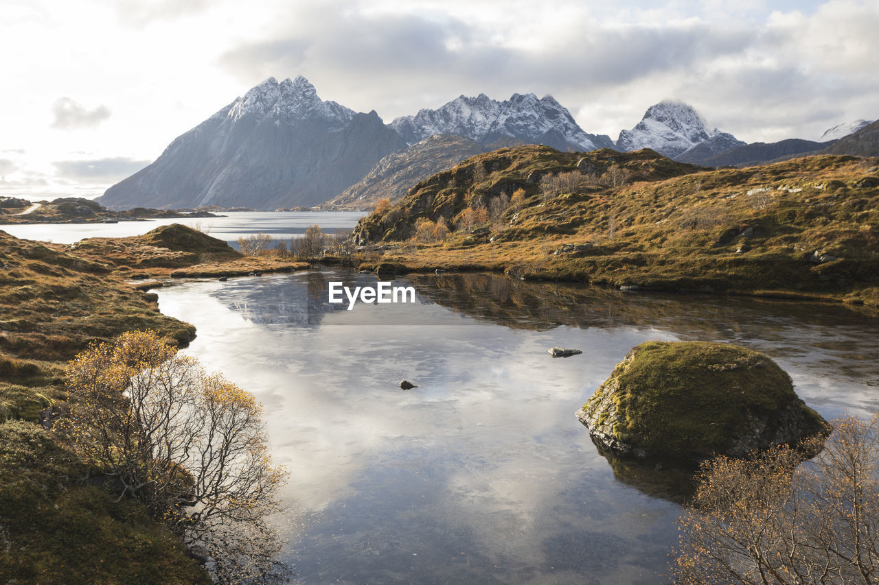 Calm lake in autumn in the lofoten islands with snowy mountains