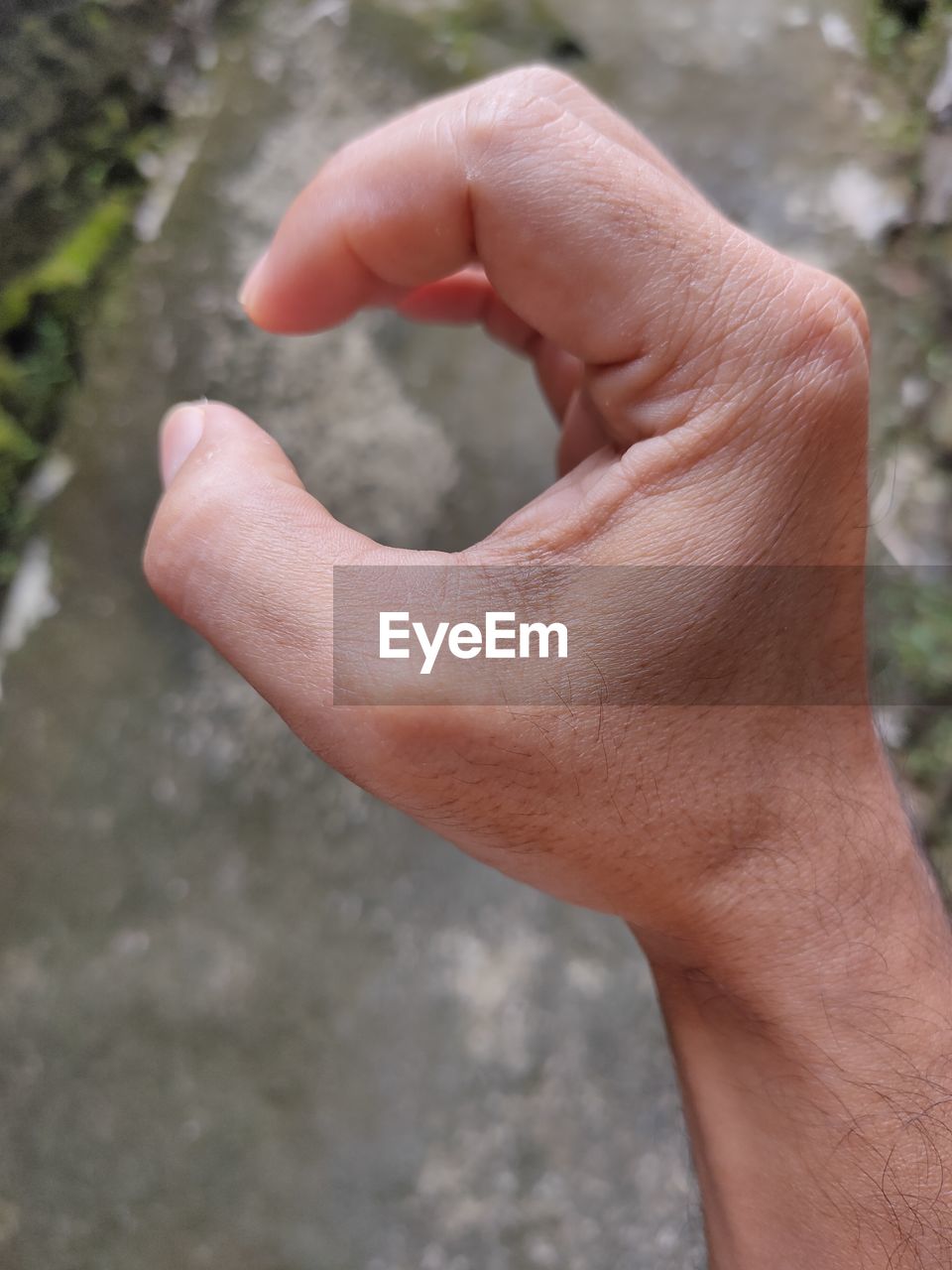 CLOSE-UP OF PERSON HAND TOUCHING TREE
