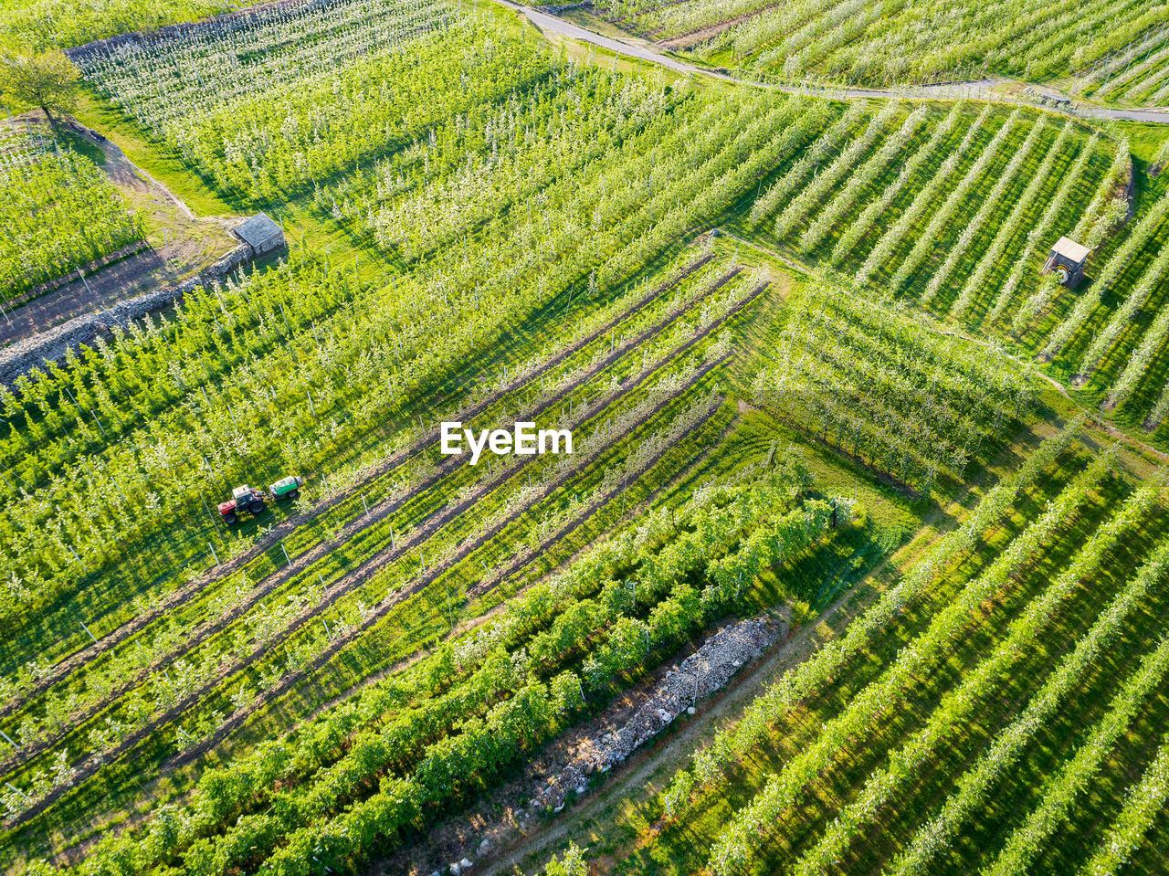 HIGH ANGLE VIEW OF FARM