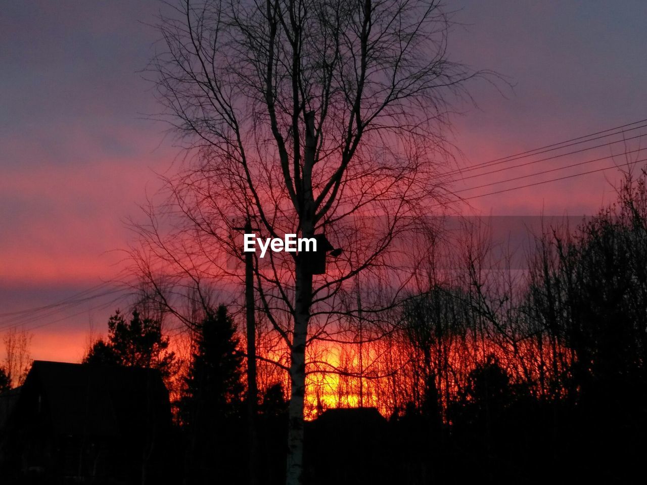 LOW ANGLE VIEW OF SILHOUETTE BARE TREES AGAINST SKY DURING SUNSET