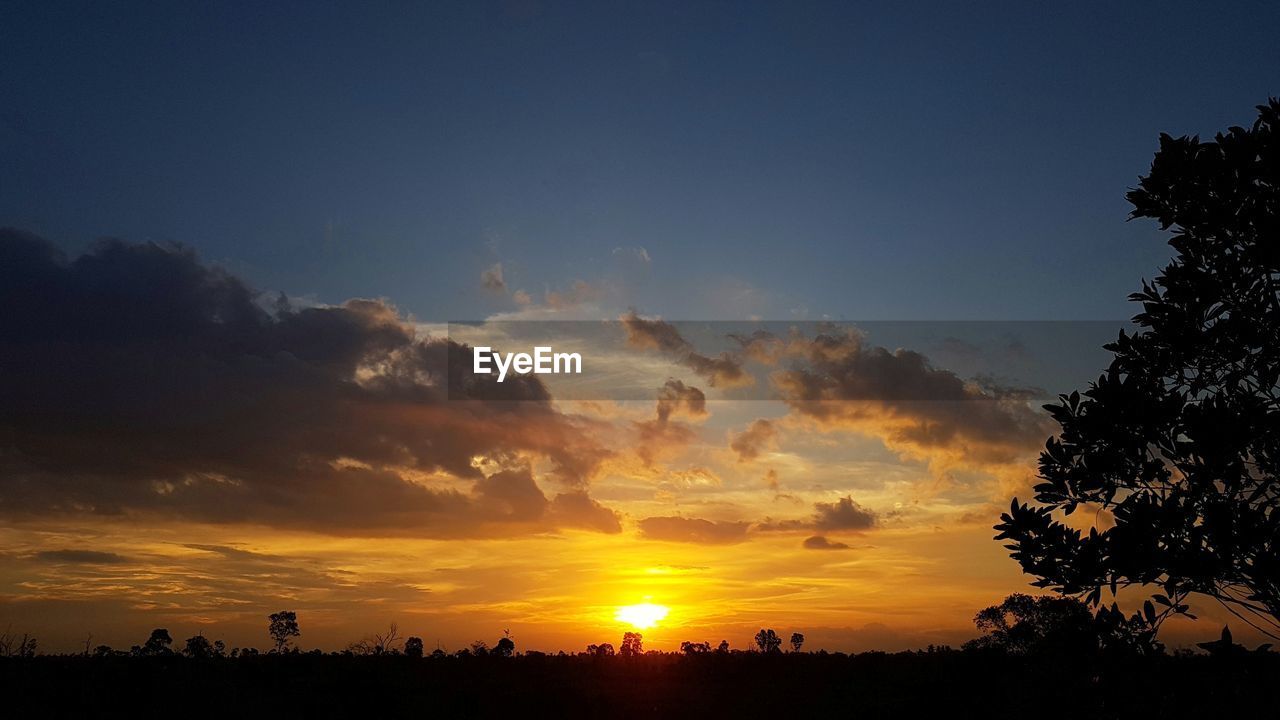 SILHOUETTE TREES AGAINST SKY DURING SUNSET