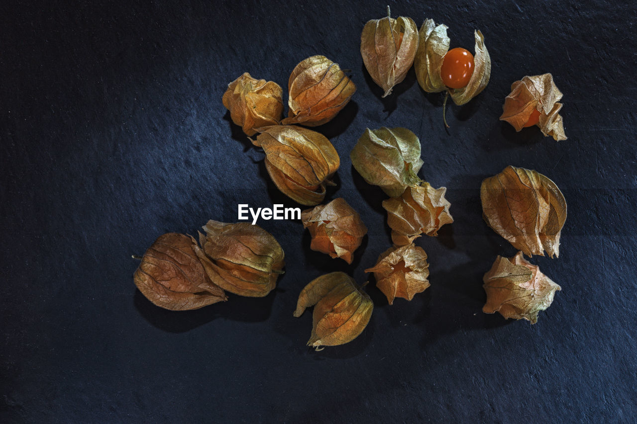 High angle view of winter cherry fruits on table