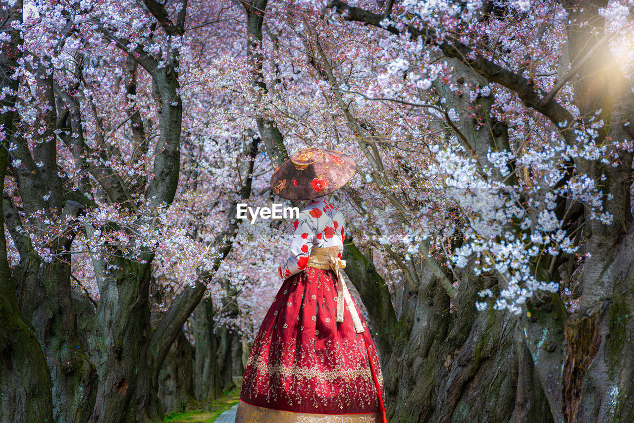 Woman standing by cherry blossom tree