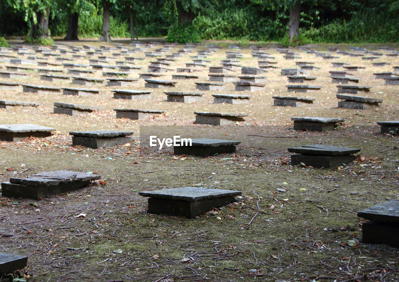 HIGH ANGLE VIEW OF TREES ON COBBLESTONE