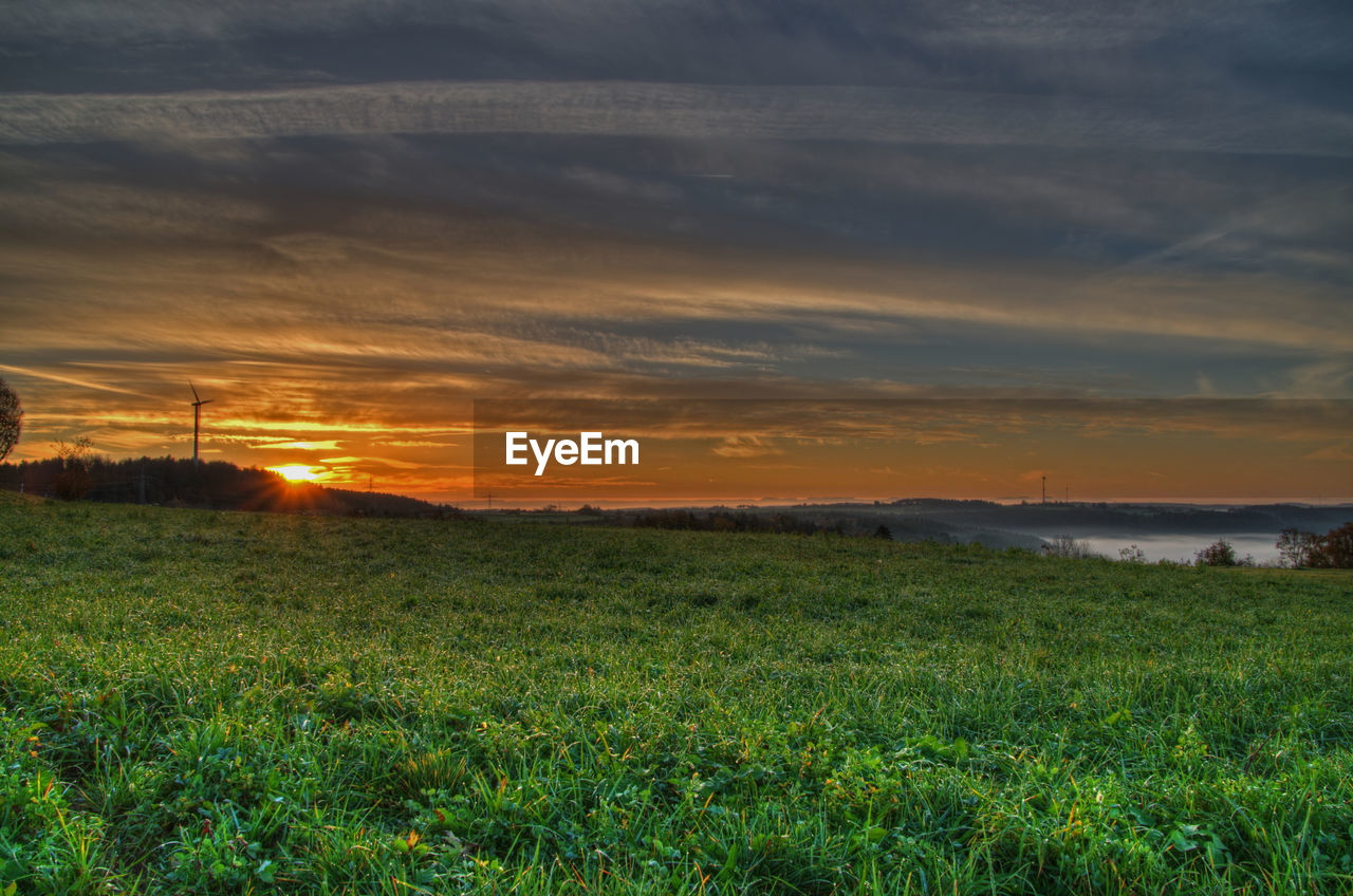 Scenic view of grassy landscape during sunset