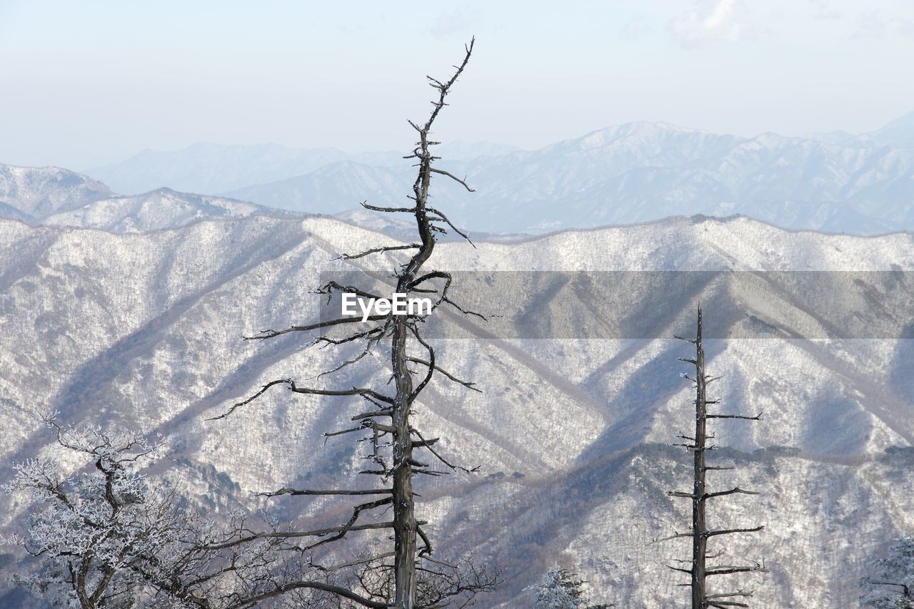 Scenic view of snow covered mountains