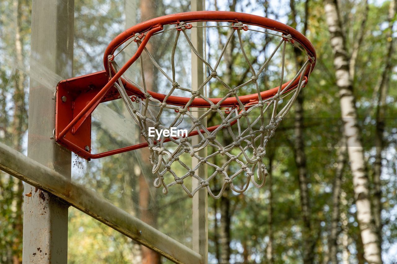 basketball, basketball hoop, playground, sports, net - sports equipment, tree, spring, nature, green, plant, branch, day, focus on foreground, no people, ball, net, outdoors, basketball - ball, scoring, wheelchair basketball
