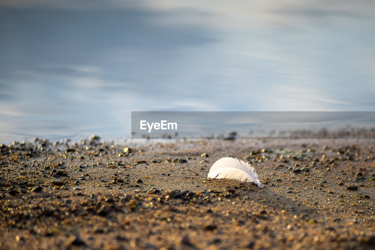 Surface level of sandy beach