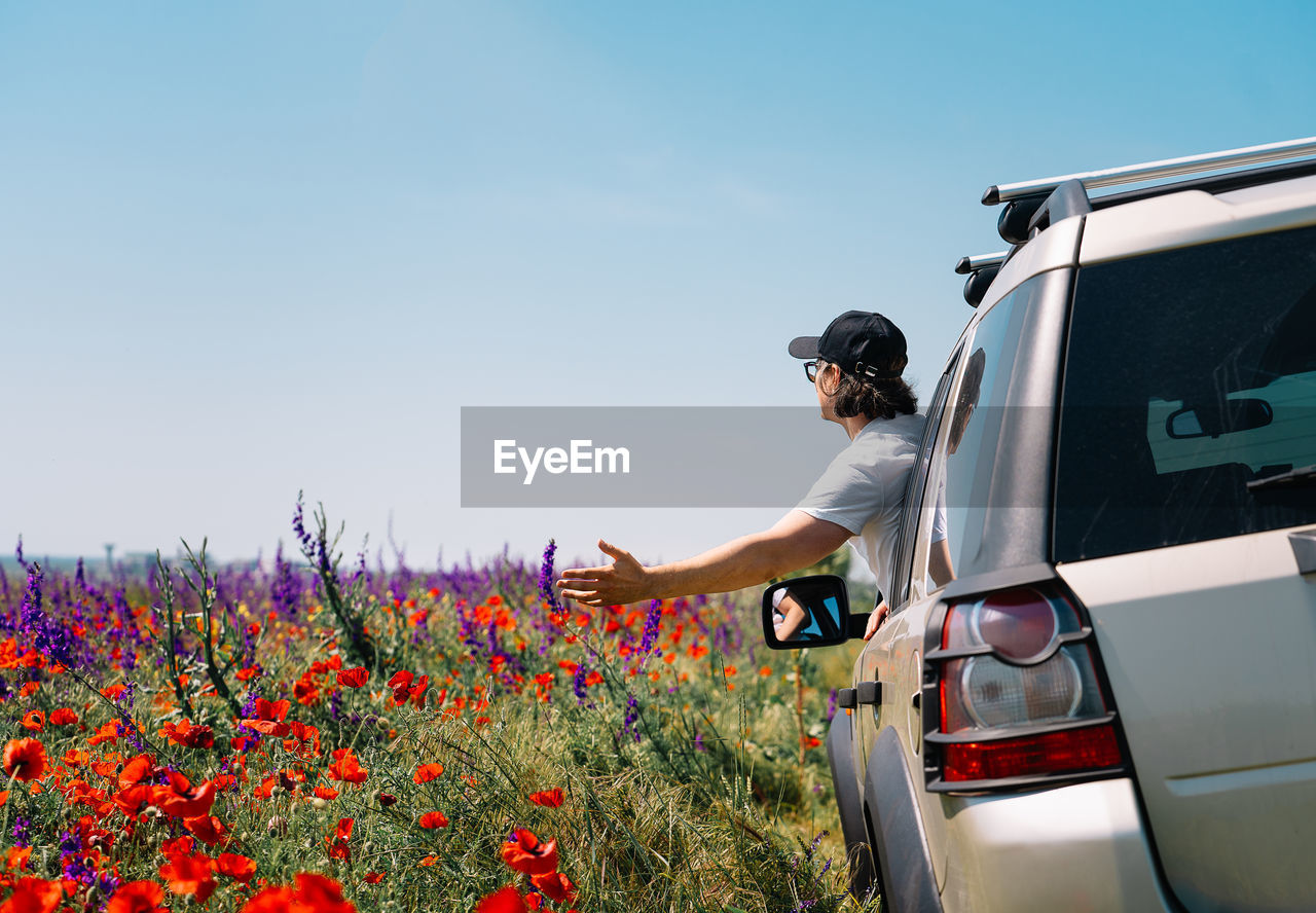 Side view of person driving his car by flowering wild plants on field against sky in summer