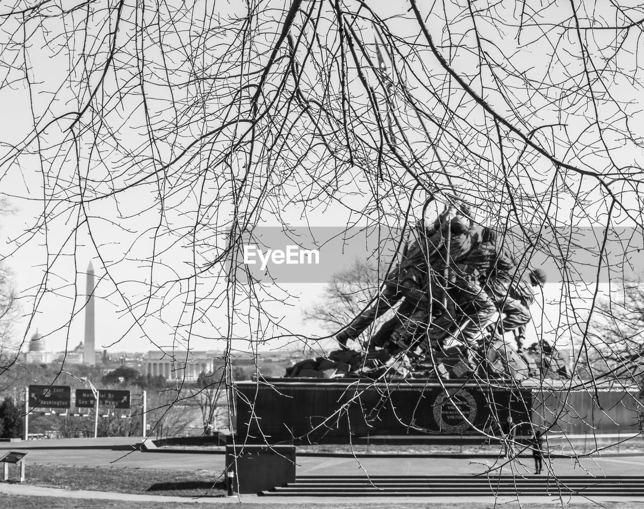 WOMAN STANDING IN PARK