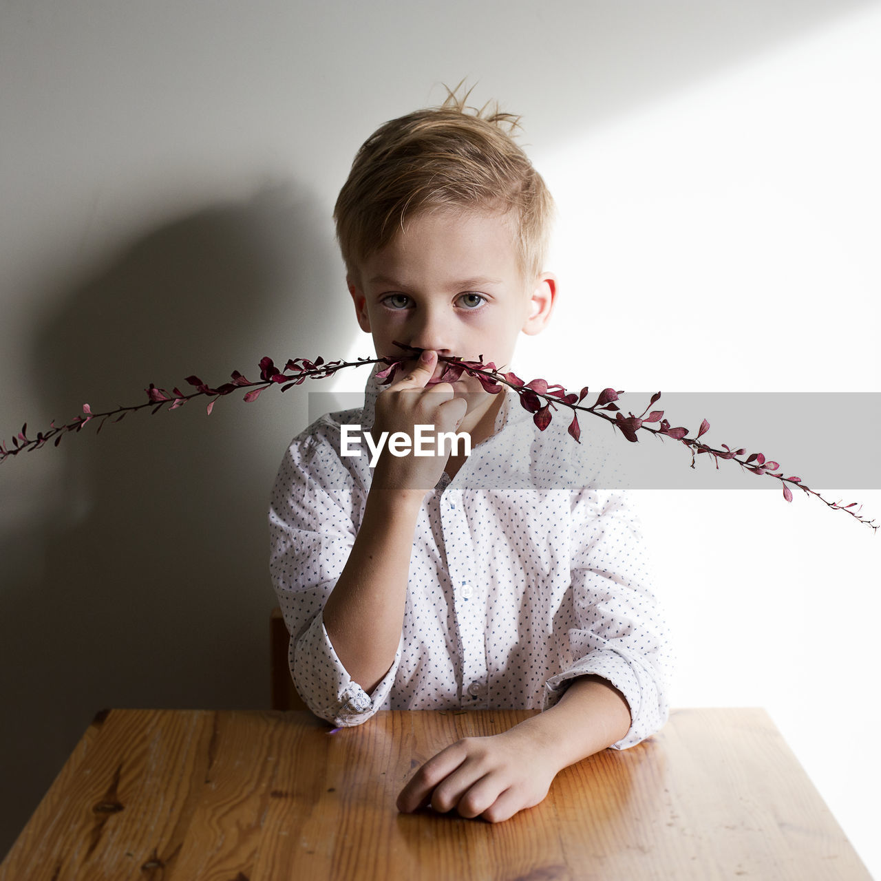 Portrait of boy holding twig on nose against wall
