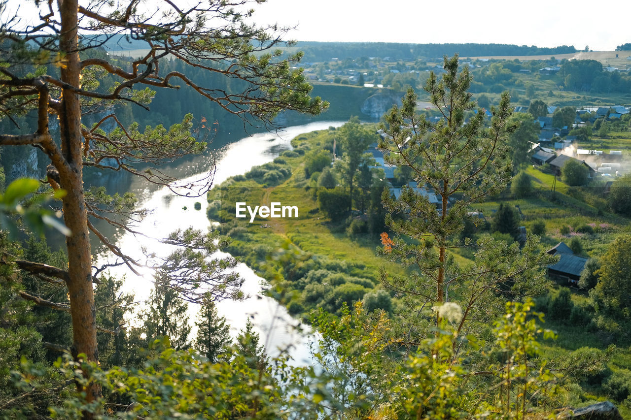 Scenic view of river and trees growing in forest against sky