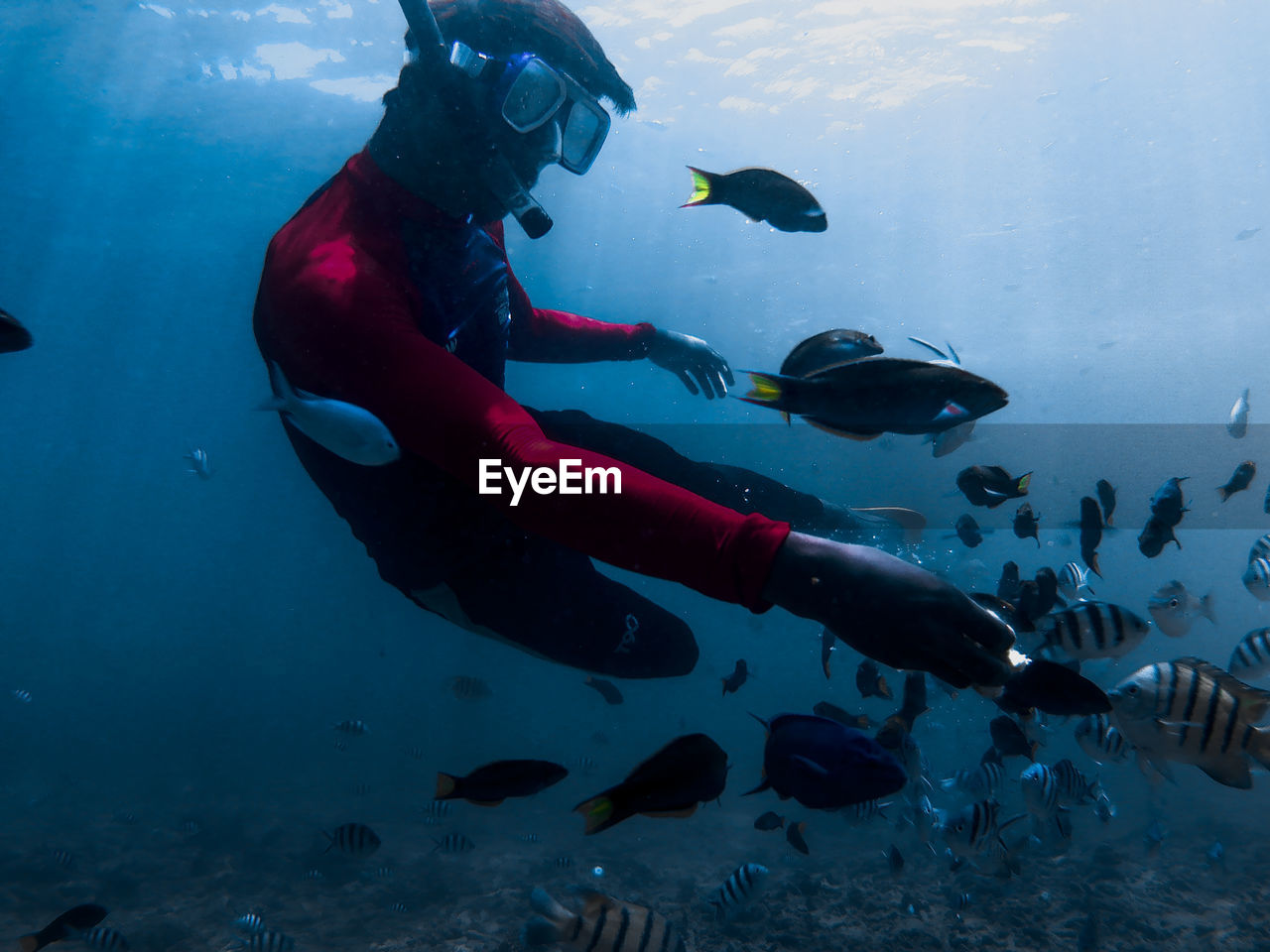 Man snorkeling with fish swimming in sea