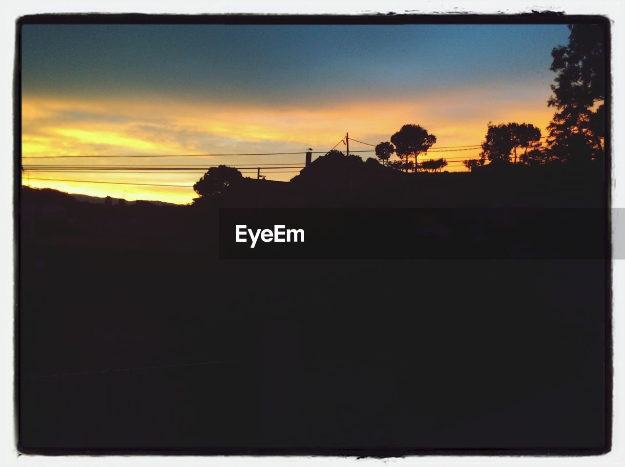 SILHOUETTE OF TREES AT SUNSET