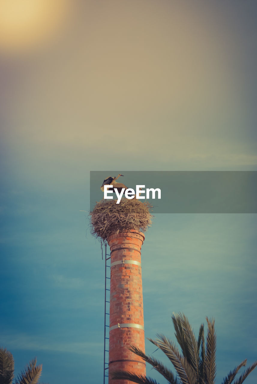 Bird perching on chimney against sky