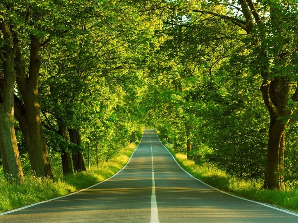 EMPTY ROAD WITH TREES IN BACKGROUND