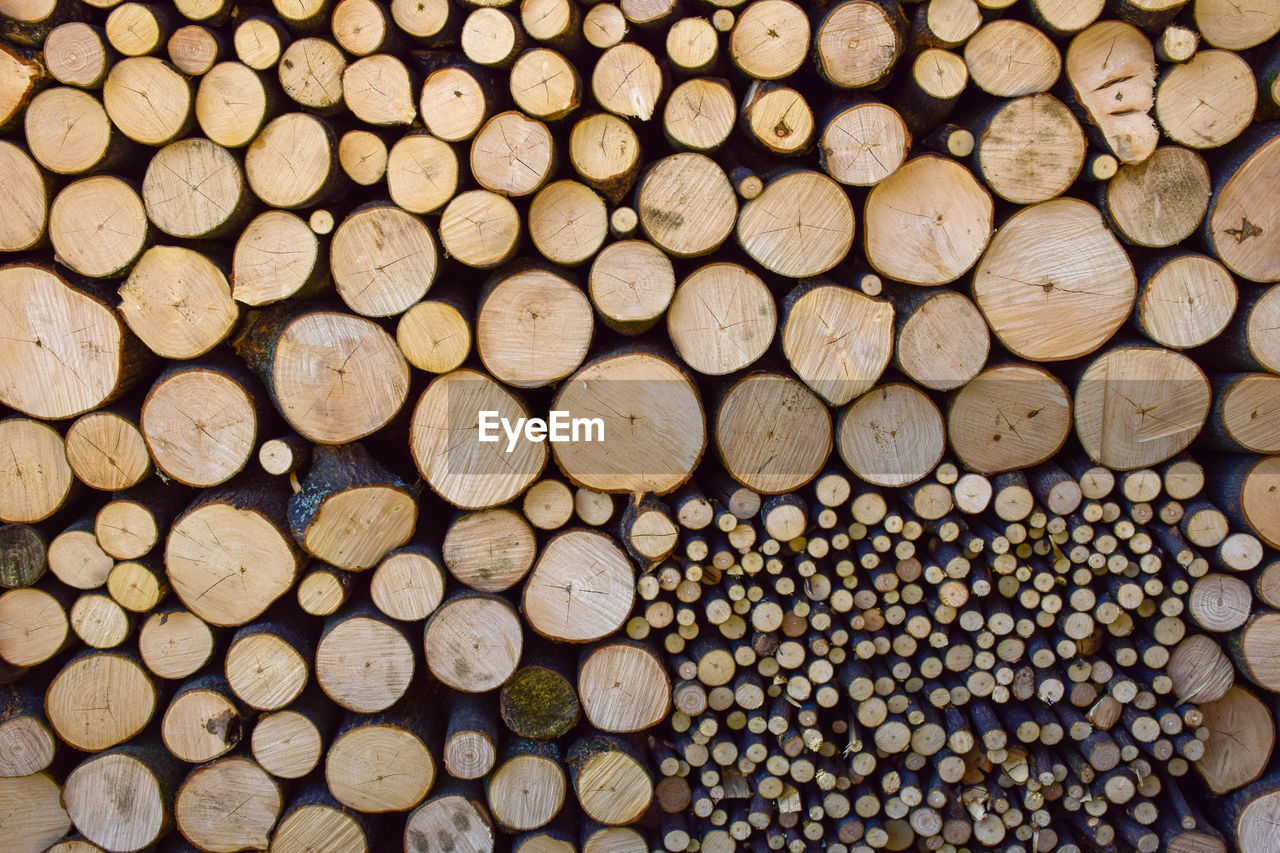 Full frame shot of logs in forest