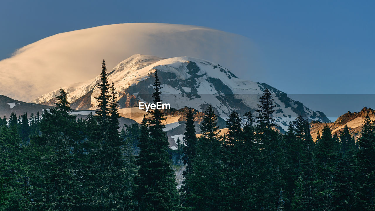 PLANTS AND SNOWCAPPED MOUNTAINS AGAINST SKY