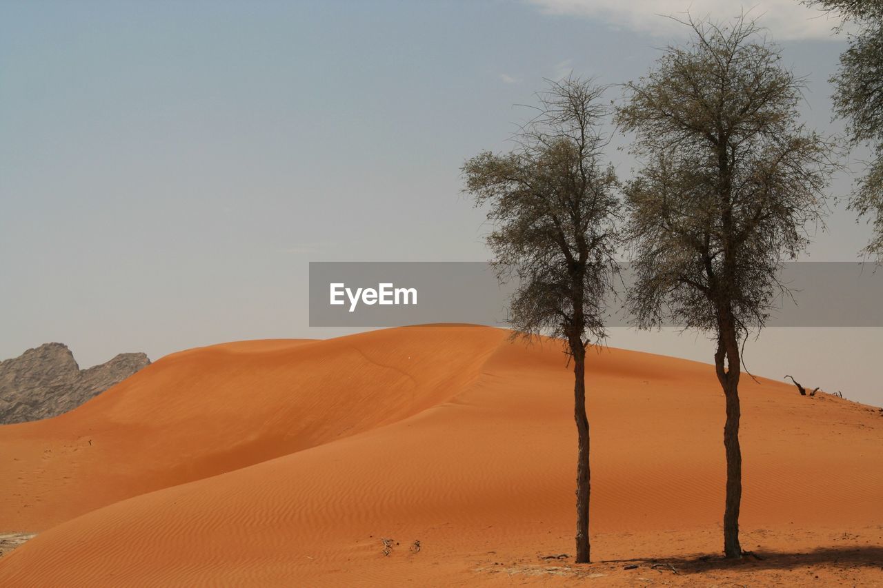 Scenic view of desert against clear sky