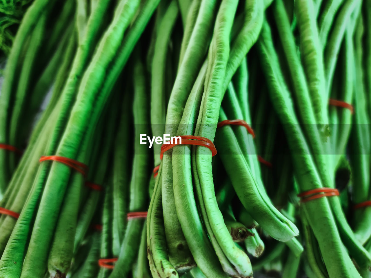 Full frame background of tied fresh green long pea