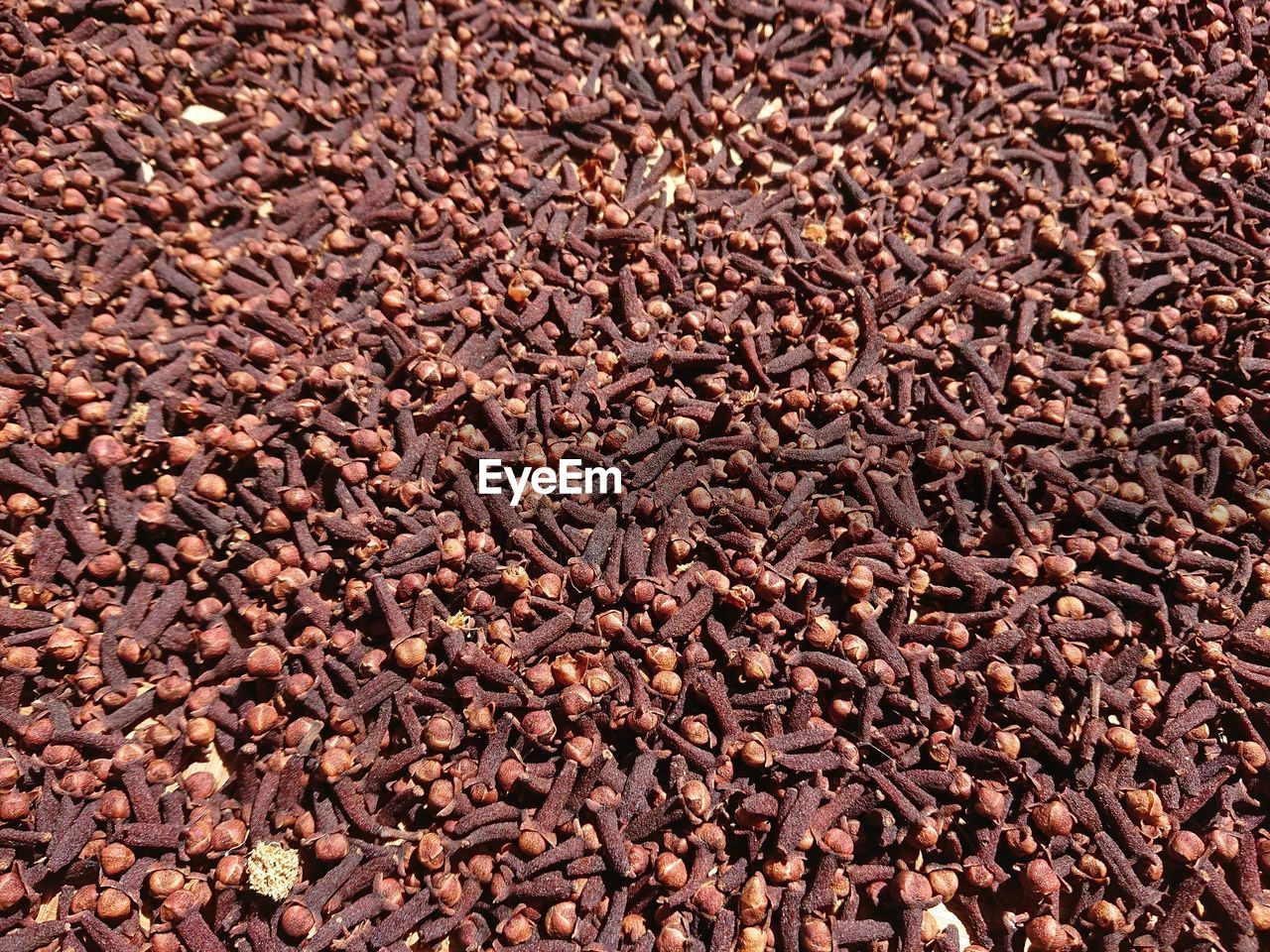 FULL FRAME SHOT OF ROASTED BEANS