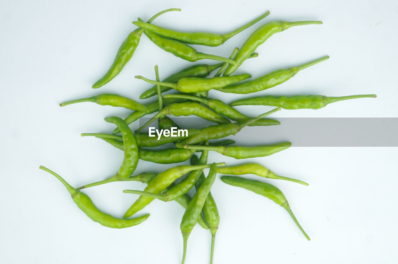 DIRECTLY ABOVE SHOT OF GREEN CHILI PEPPER AGAINST WHITE BACKGROUND