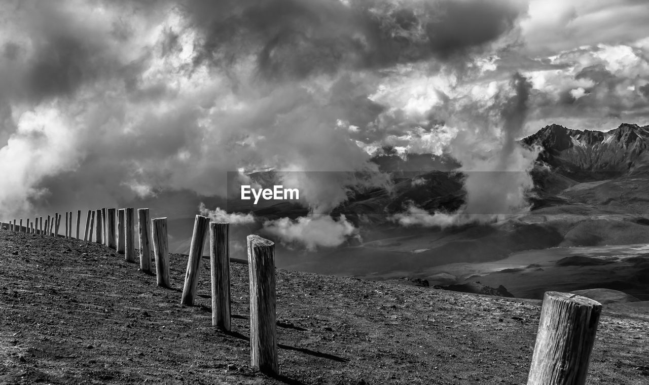 PANORAMIC VIEW OF WOODEN POSTS ON FIELD