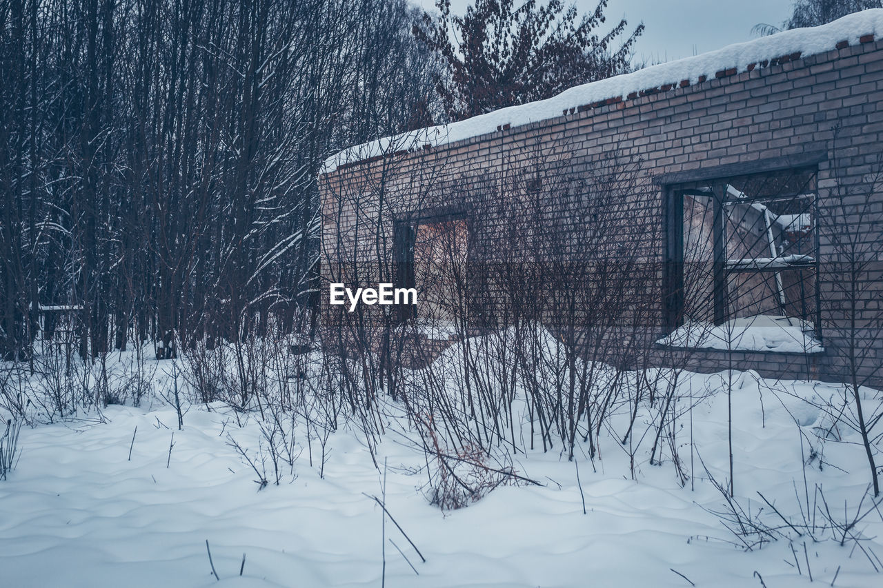 Bare tree by building during winter