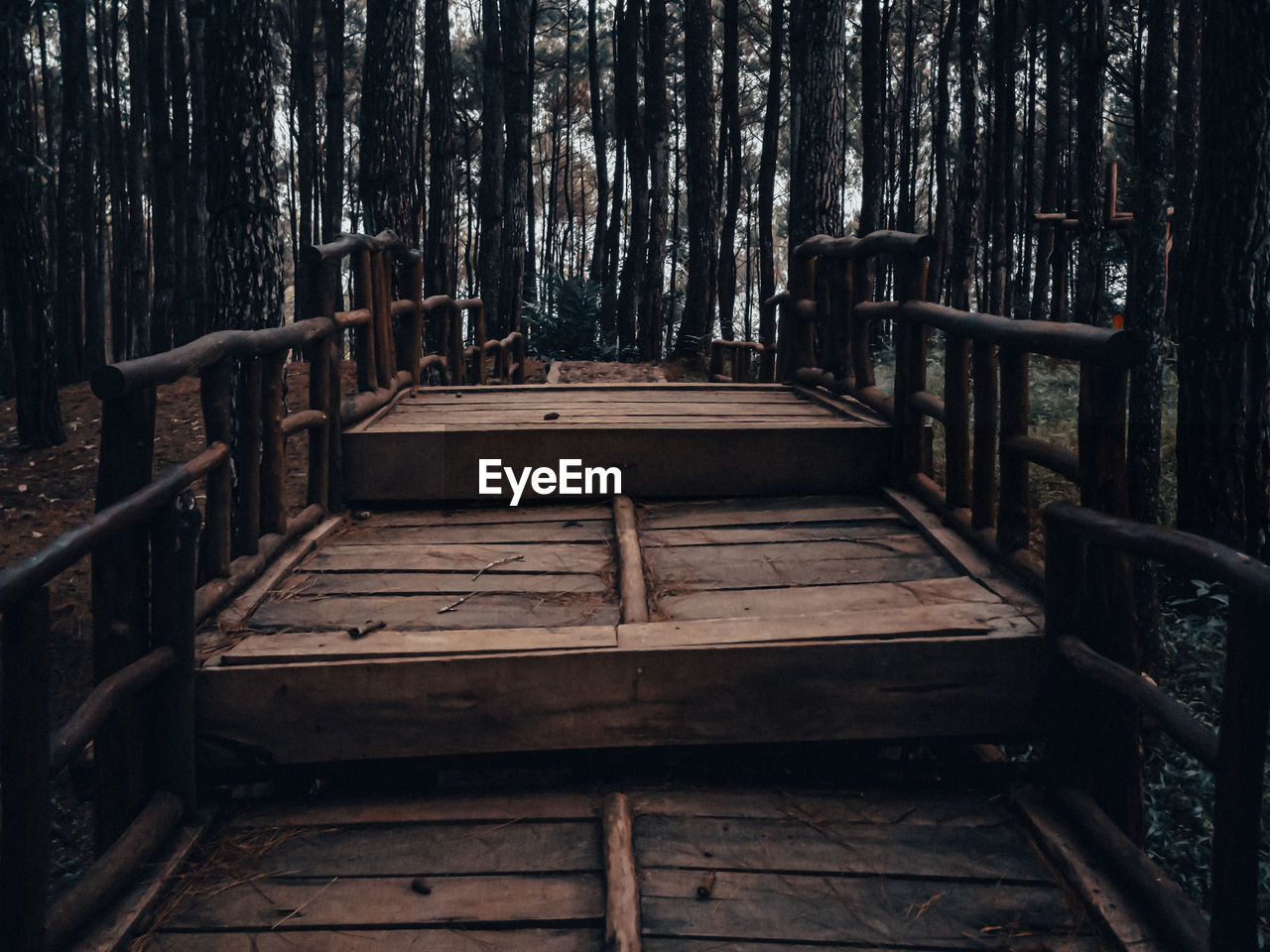 Empty bench in forest