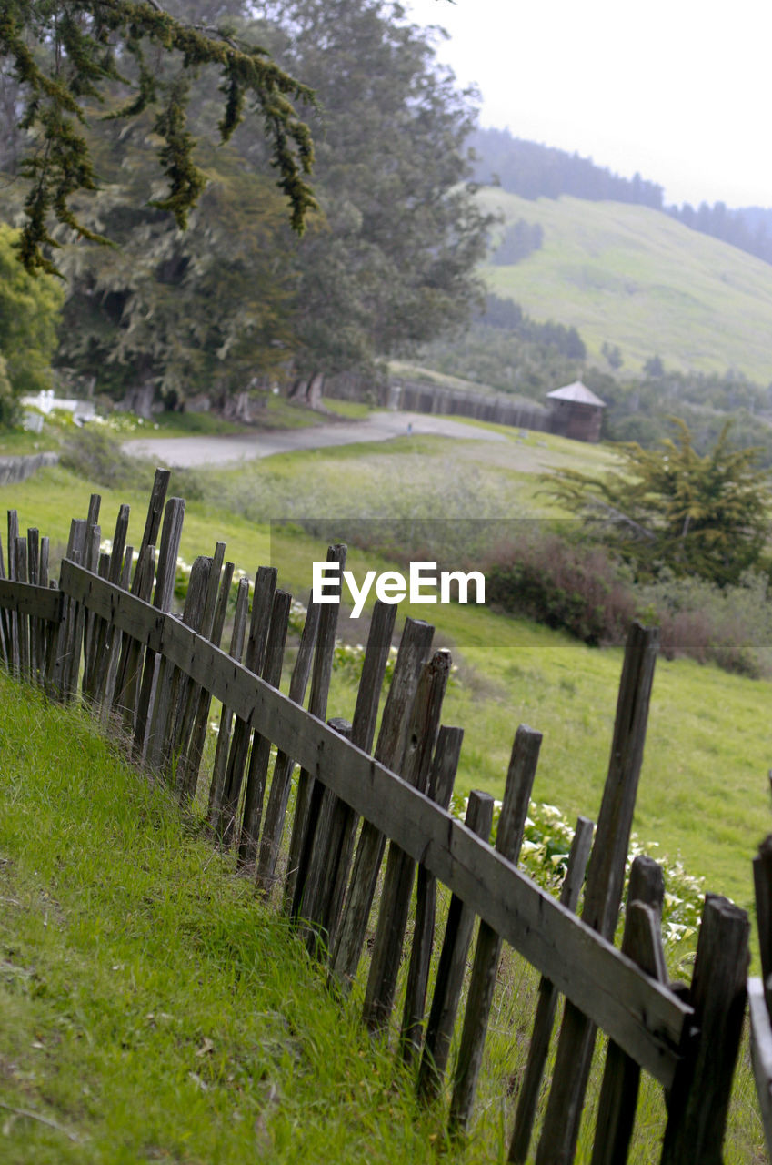 SCENIC VIEW OF AGRICULTURAL FIELD