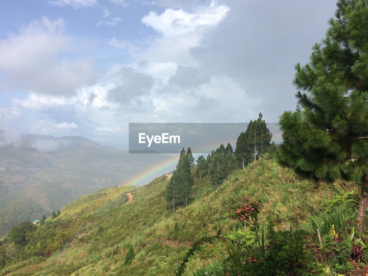 Scenic view of landscape against cloudy sky