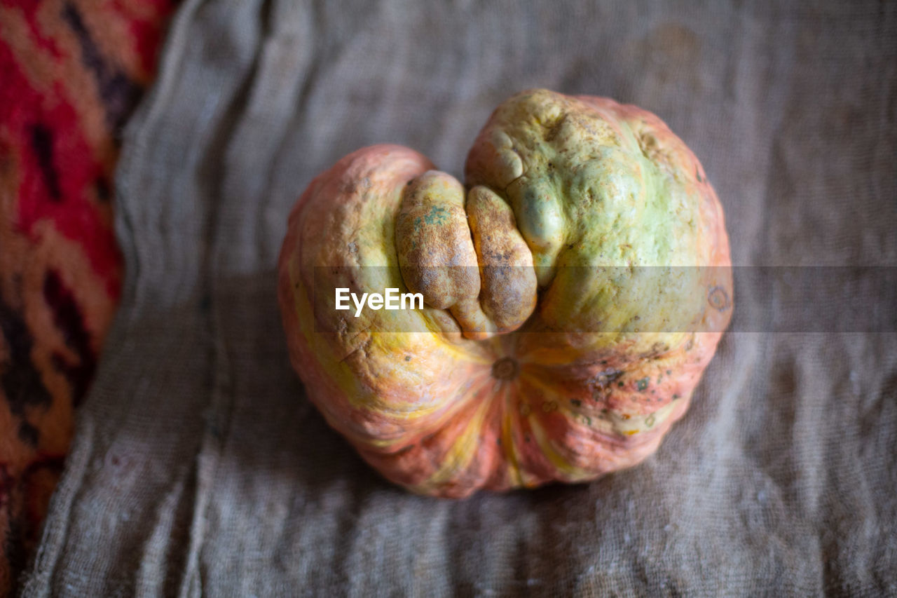 HIGH ANGLE VIEW OF FRUIT ON WHITE BACKGROUND