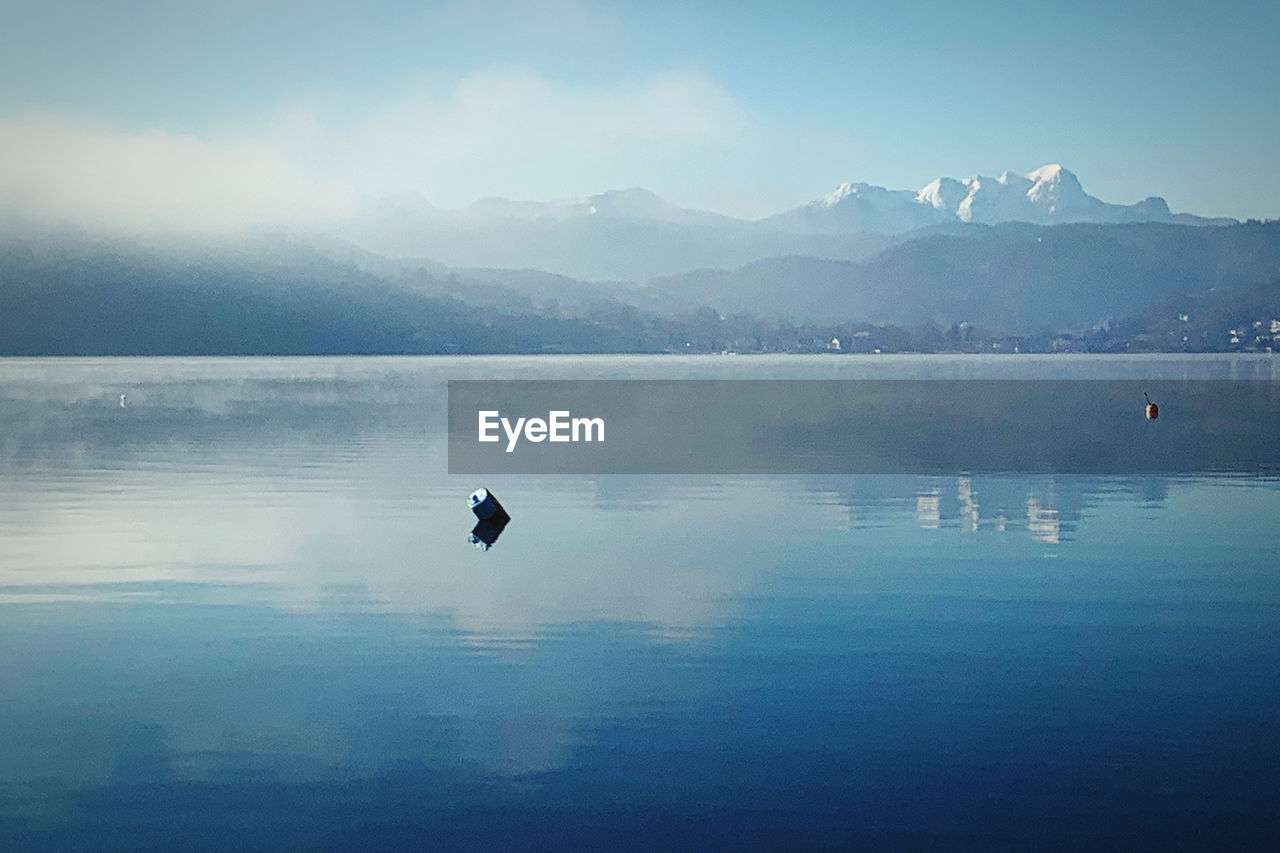 BIRD FLYING OVER LAKE